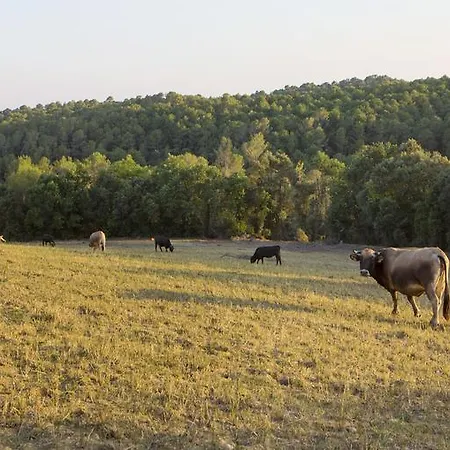 Casa rural Masoveria De Lladó Llado
