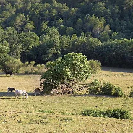 Séjour à la campagne Masoveria De